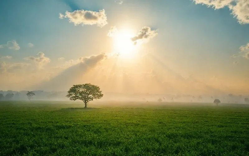 Significado de sonhar com chuva na bíblia e interpretações