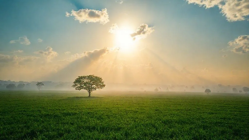 Significado de sonhar com chuva na bíblia e interpretações